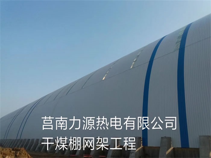 崇左力源热电有限公司干煤棚网架工程